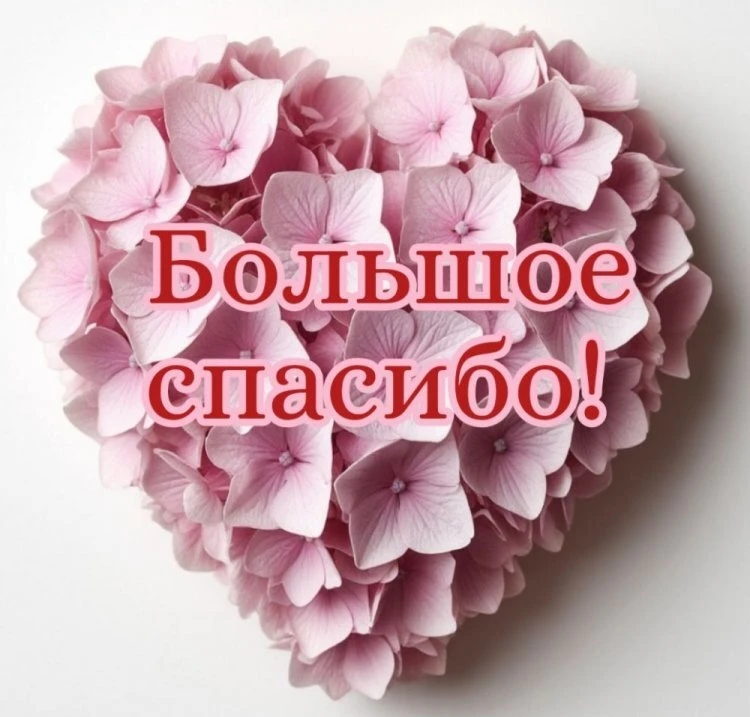 "Огромная благодарность врачам г. Слободской Куракину Сергею Ивановичу и
Радукан Елене Ивановне. В к