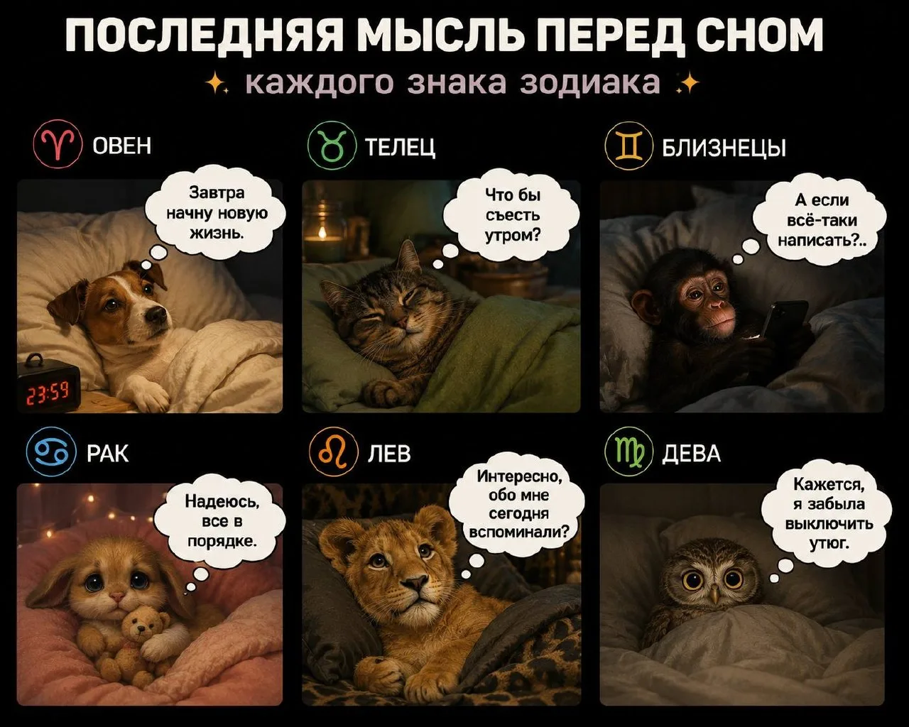 🌙 Перед сном мысли у всех разные… Но если бы их можно было распределить по знакам зодиака, получило