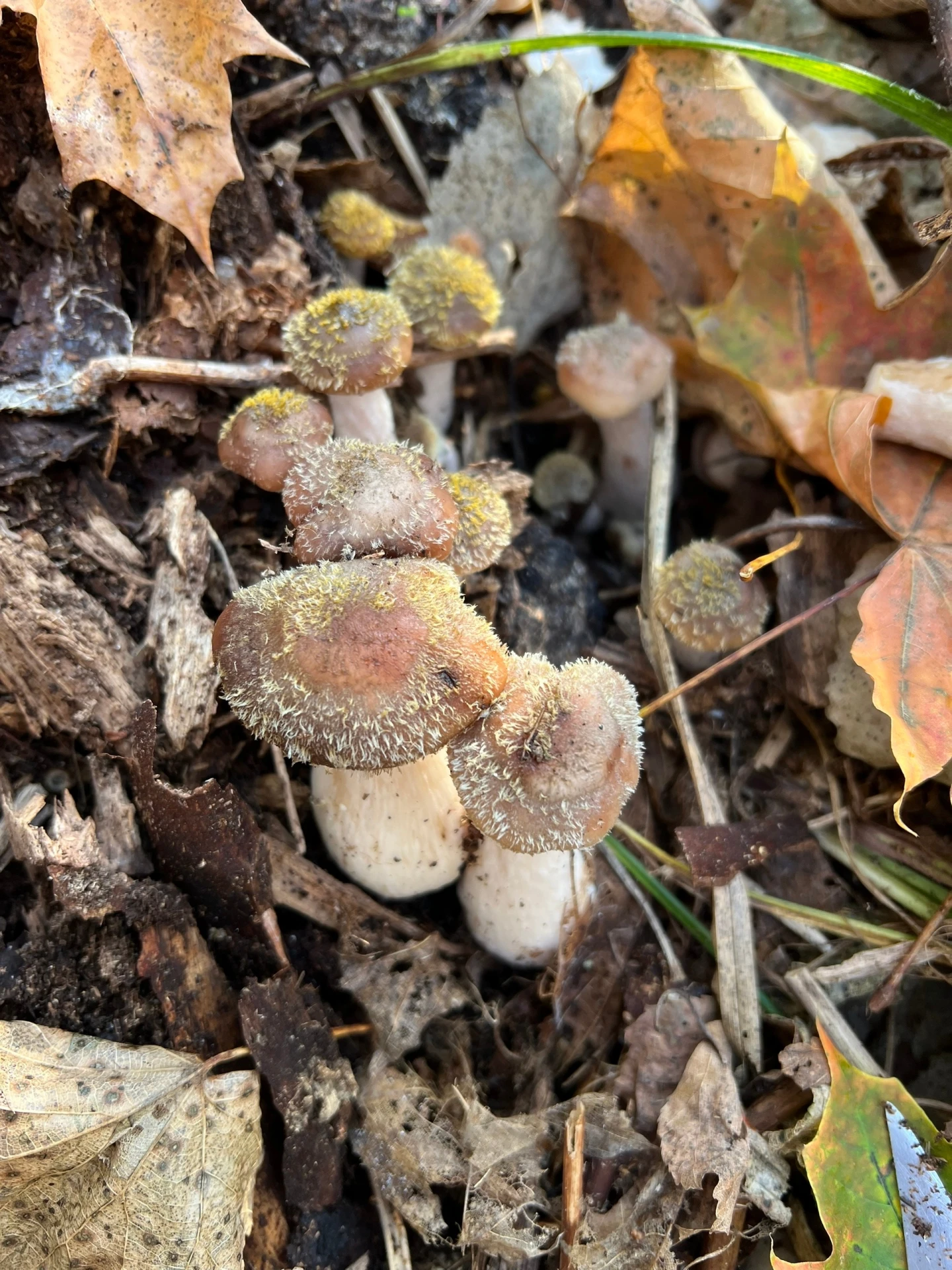 Из предложки: Последние теплые осенние деньки удались 🍄‍🟫🍁🍂