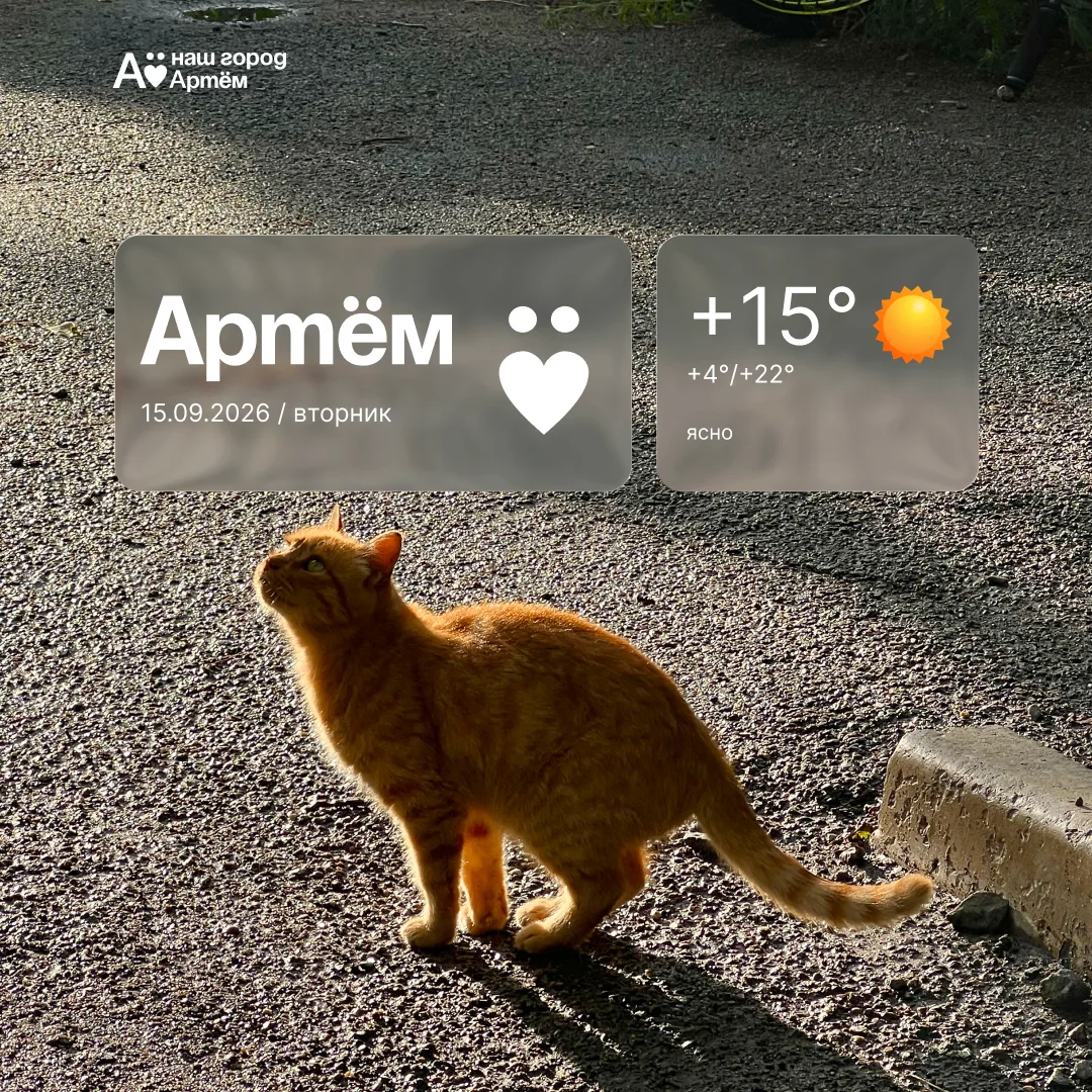 Доброе утро, Артём!