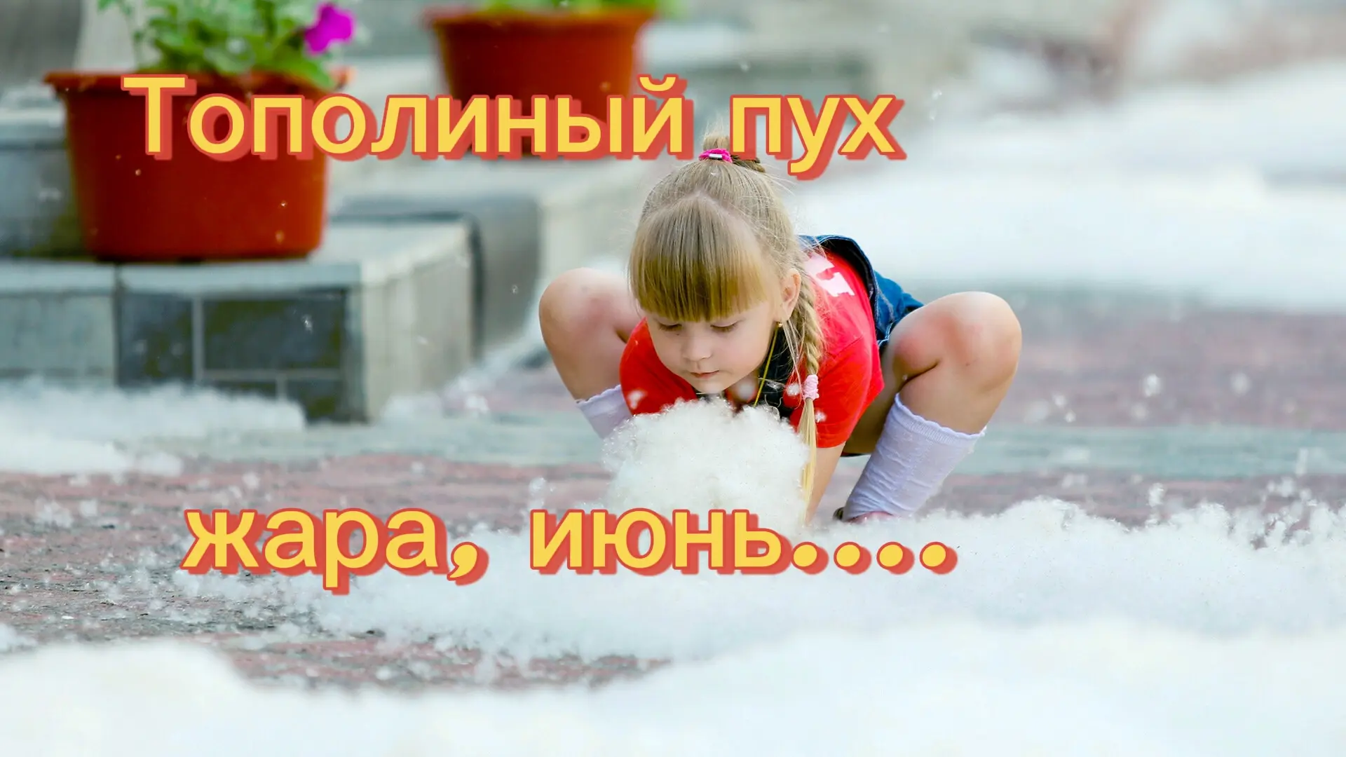 🍃Тополиный пух, жара, июнь....