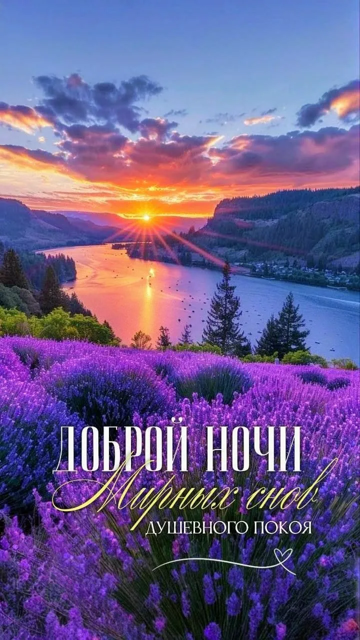 💜💜💜