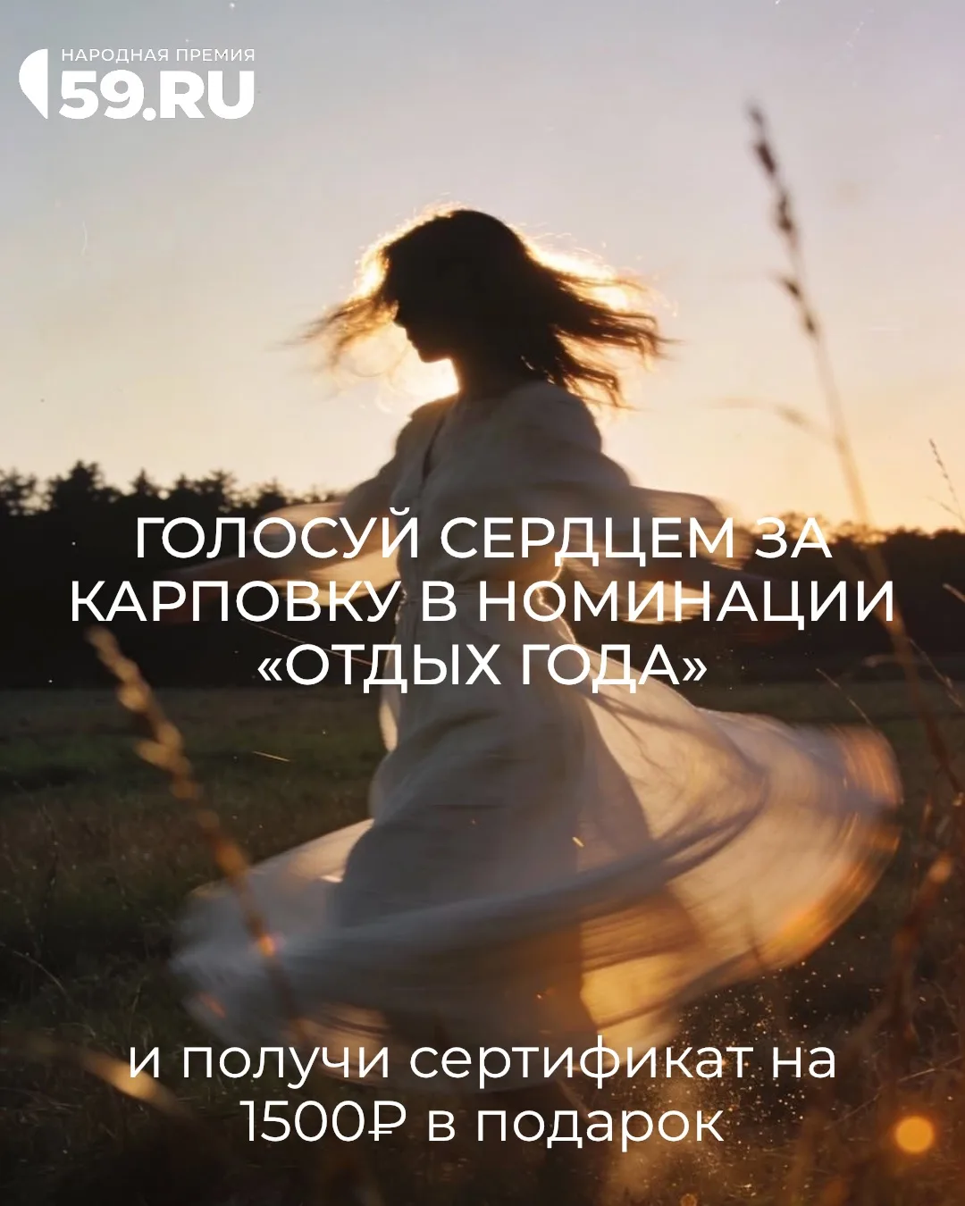 Дорогие друзья!