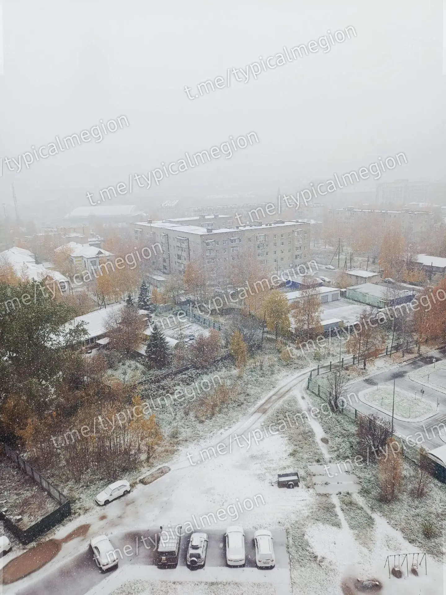 С первым снегом! ❄️❄️❄️