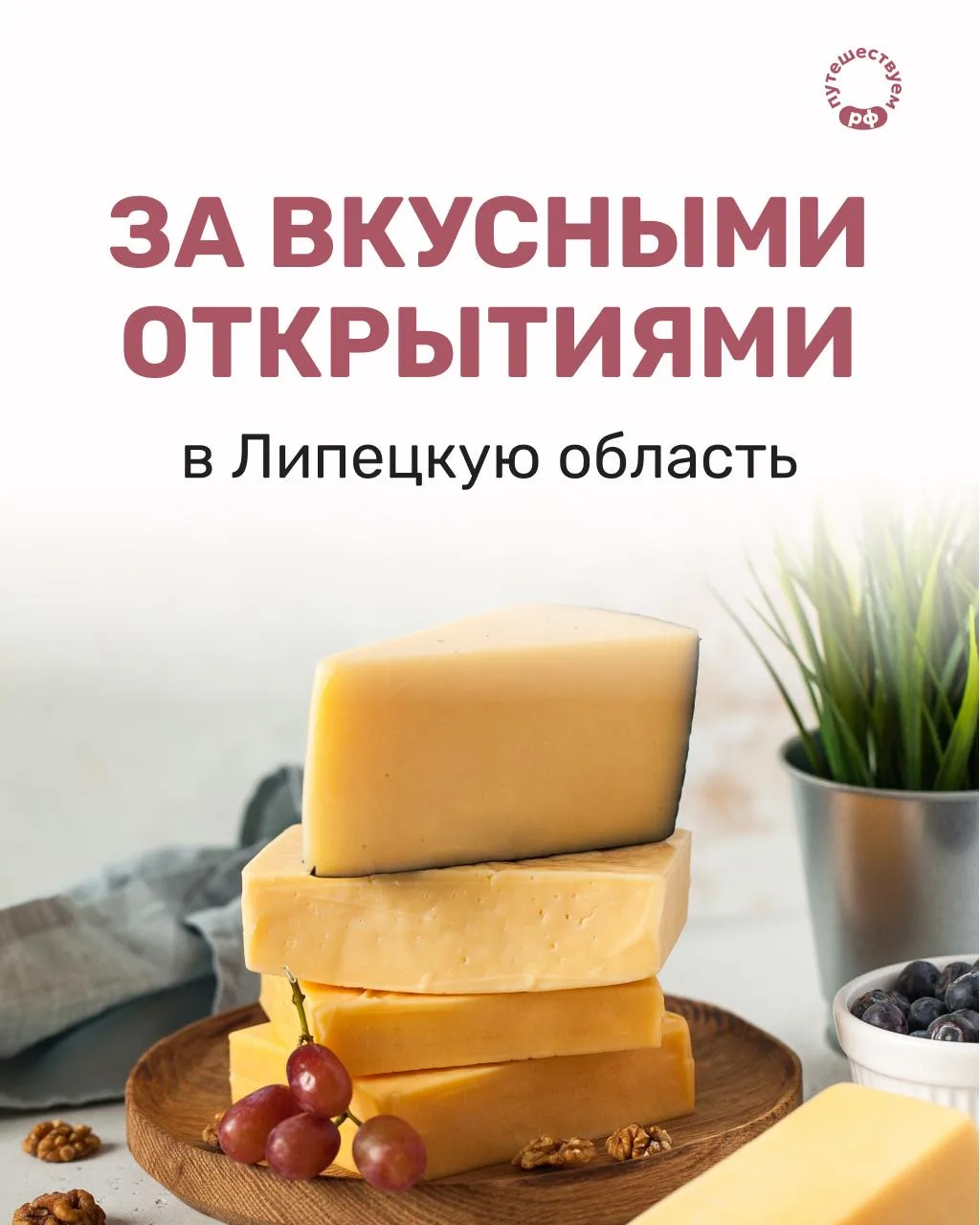 В Липецкой области — вкусно! 🧀