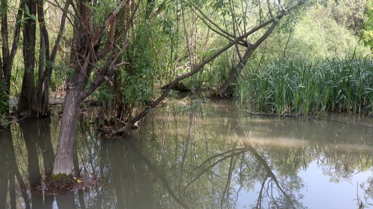 🤢 Вонючая вода из Курганской области движется в Ялуторовск