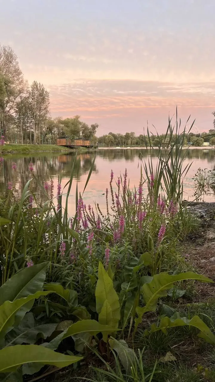 Роскошные белгородские закаты глазами подписчицы Ксении 😍
