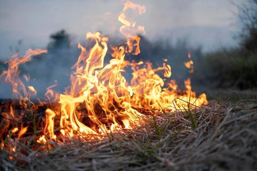 🔥 Пожарная безопасность на особом контроле