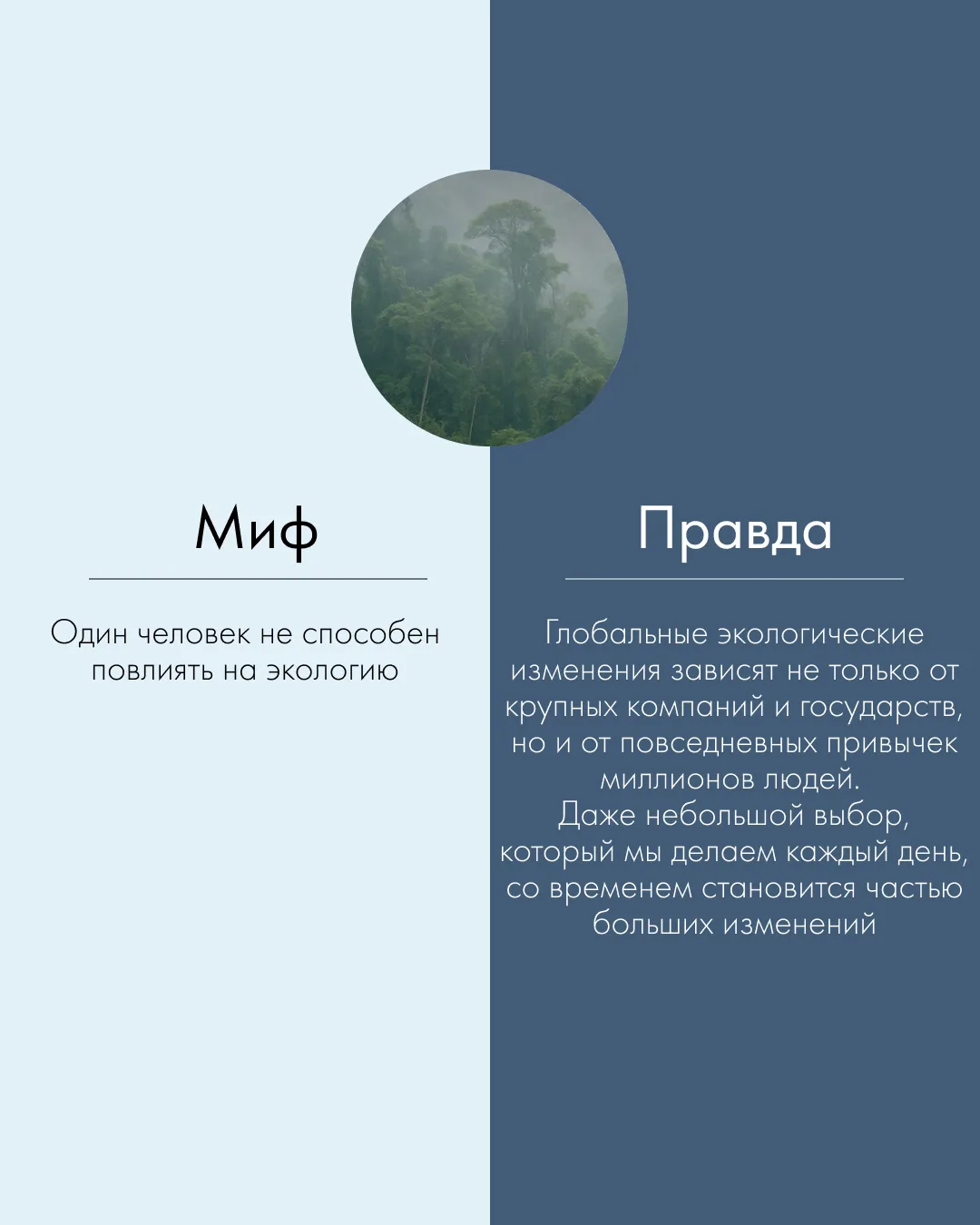 12 мая — день экологических знаний 🌏