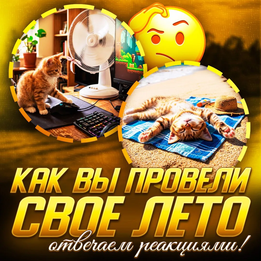 Пришло время спросить: как вы провели это лето? Колитесь, как оно прошло: