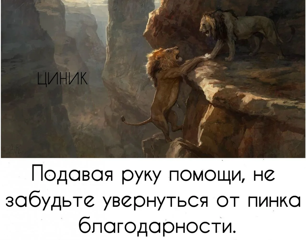 Циник