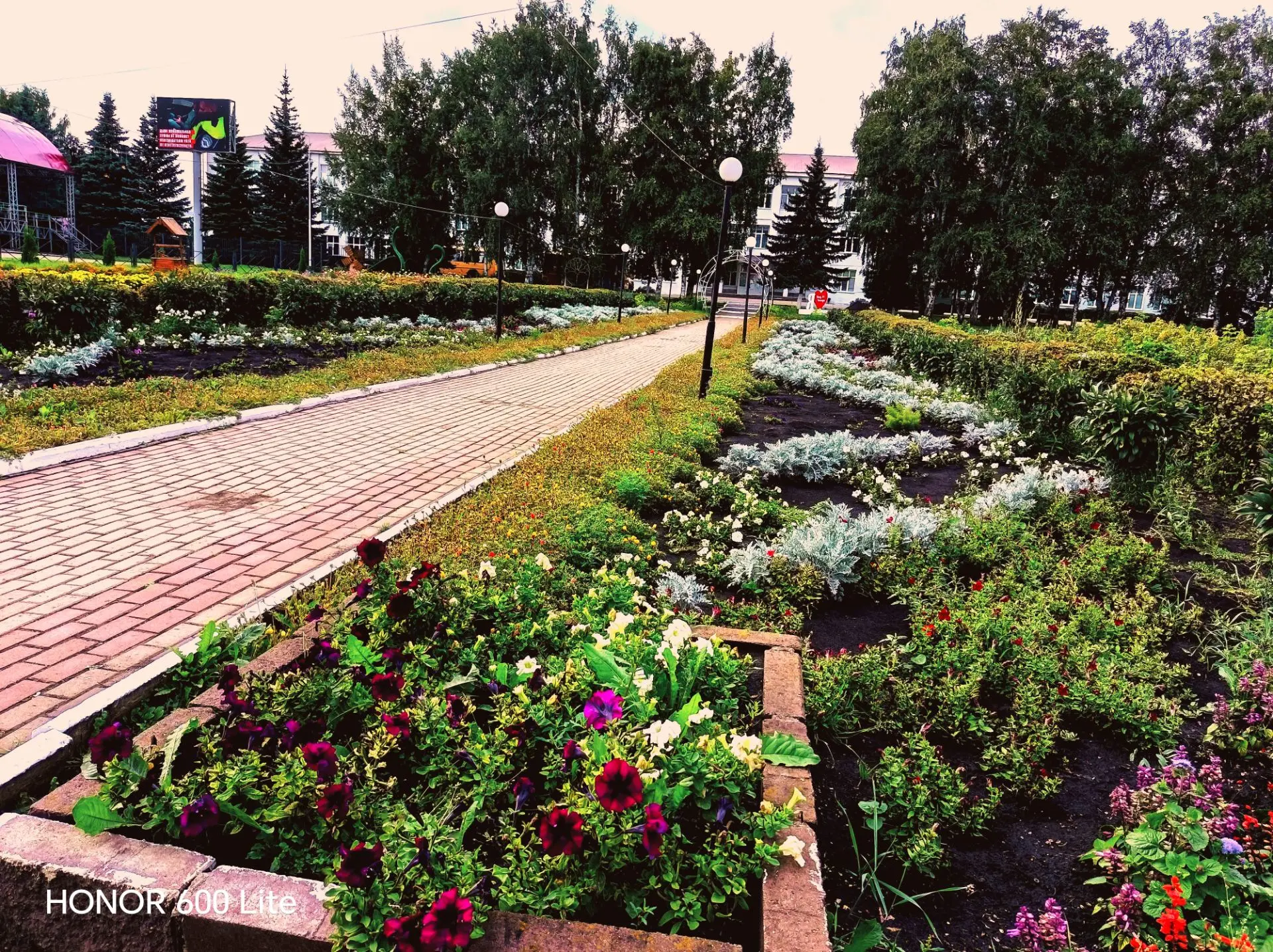 Доброе утро🌹