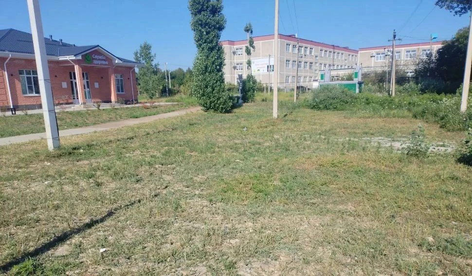 В Краснооктябрьском сельском поселении прокомментировали ситуацию с амброзией