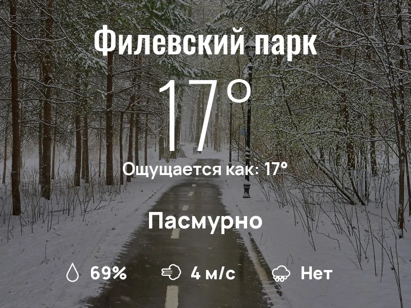 Что с погодой в Филевском парке?