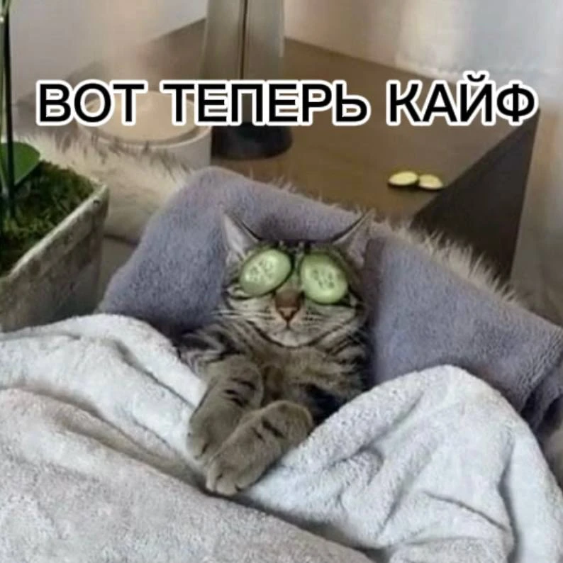 Как энергия месяца проявляется в деньгах, карьере и отношениях 💫