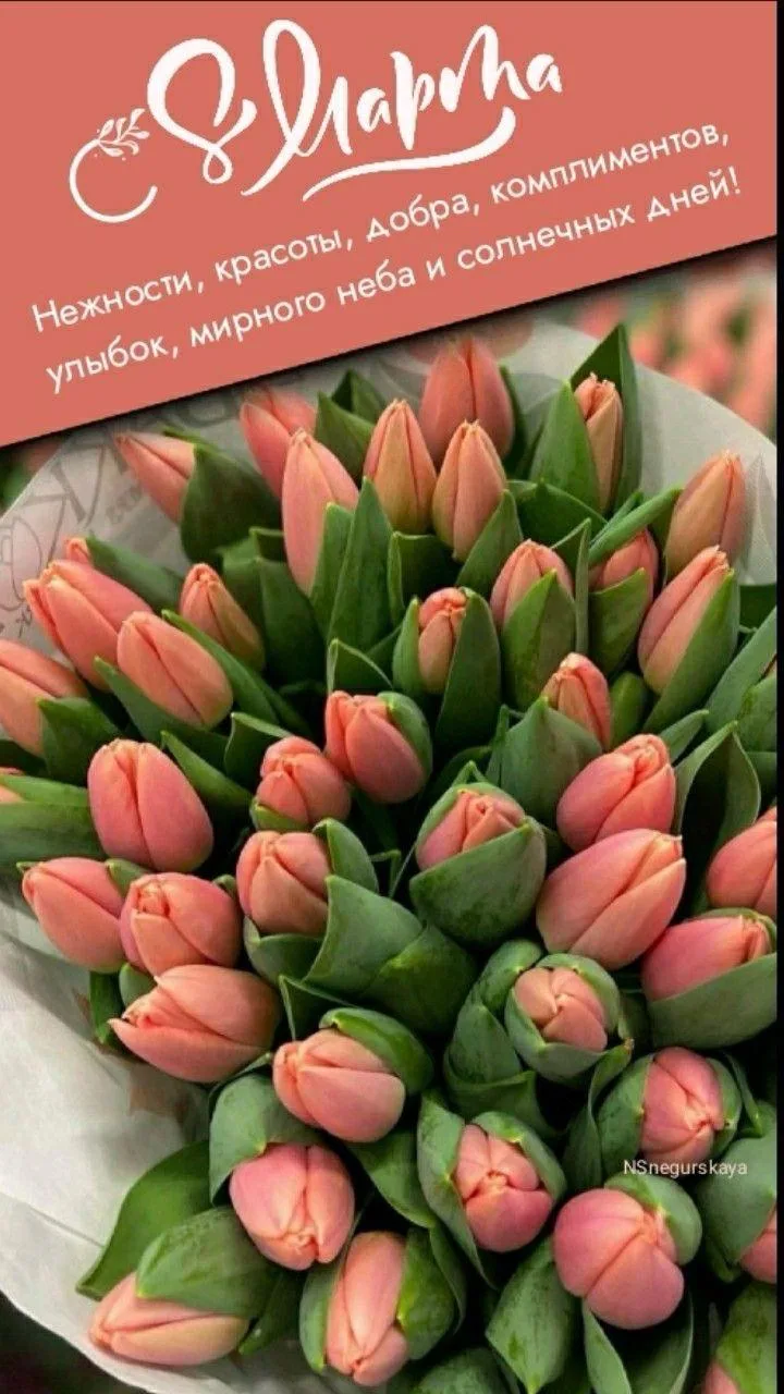 Дорогие женщины!

От всего сердца поздравляю вас с самым нежным и прекрасным праздником – Международ