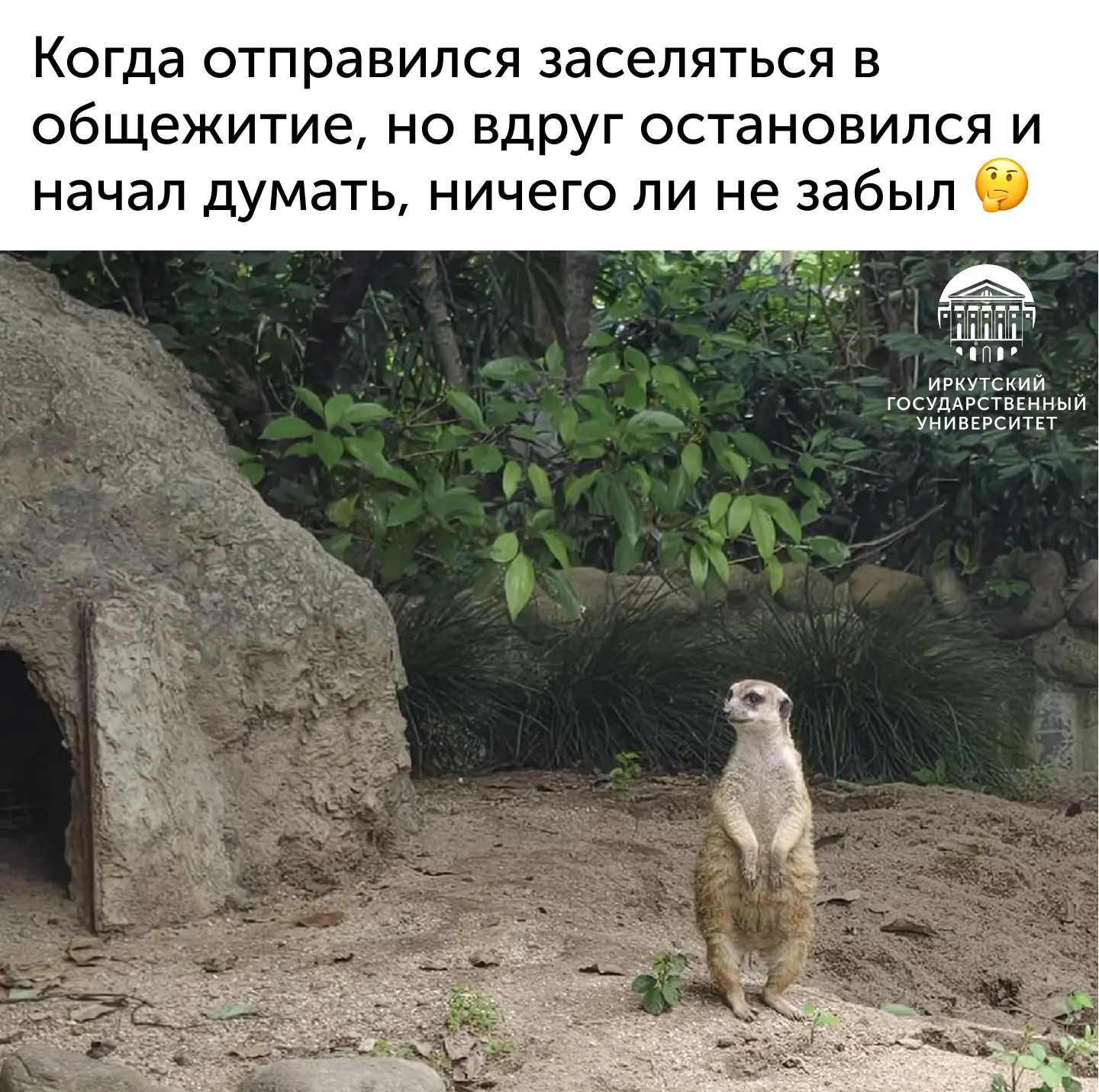 Первокурсник, не беспокойся 😉 Специально для тебя мы собрали чек-лист того, что нужно ...