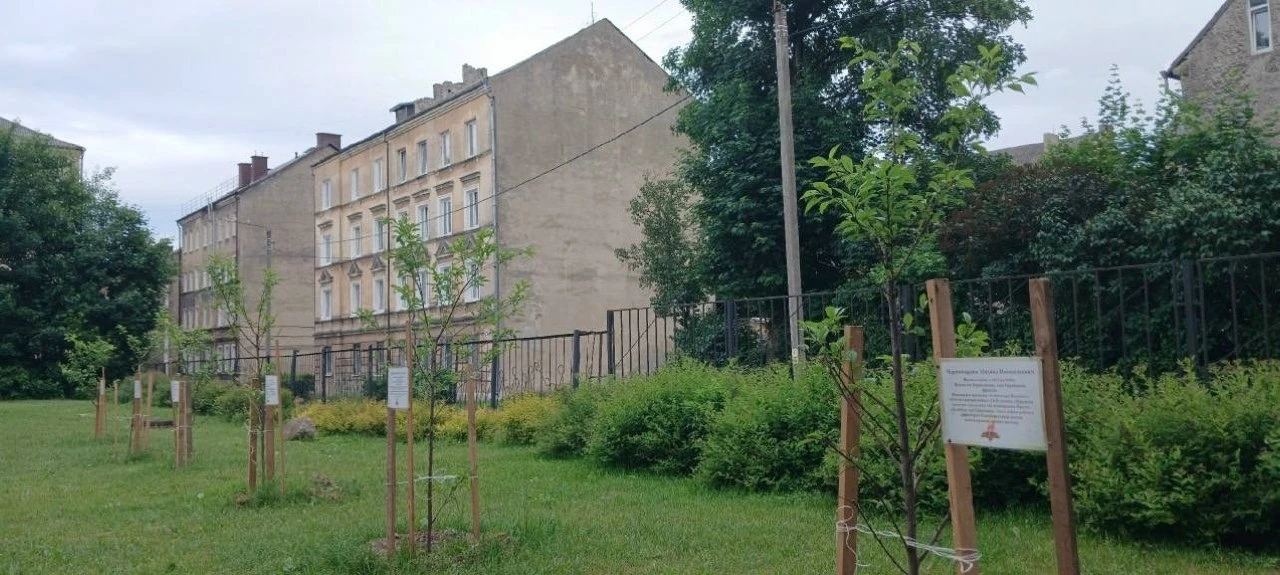 🤷 У здания Технологического колледжа Советска на ул.Пушкина высадили деревья в честь фронтовиков-пр