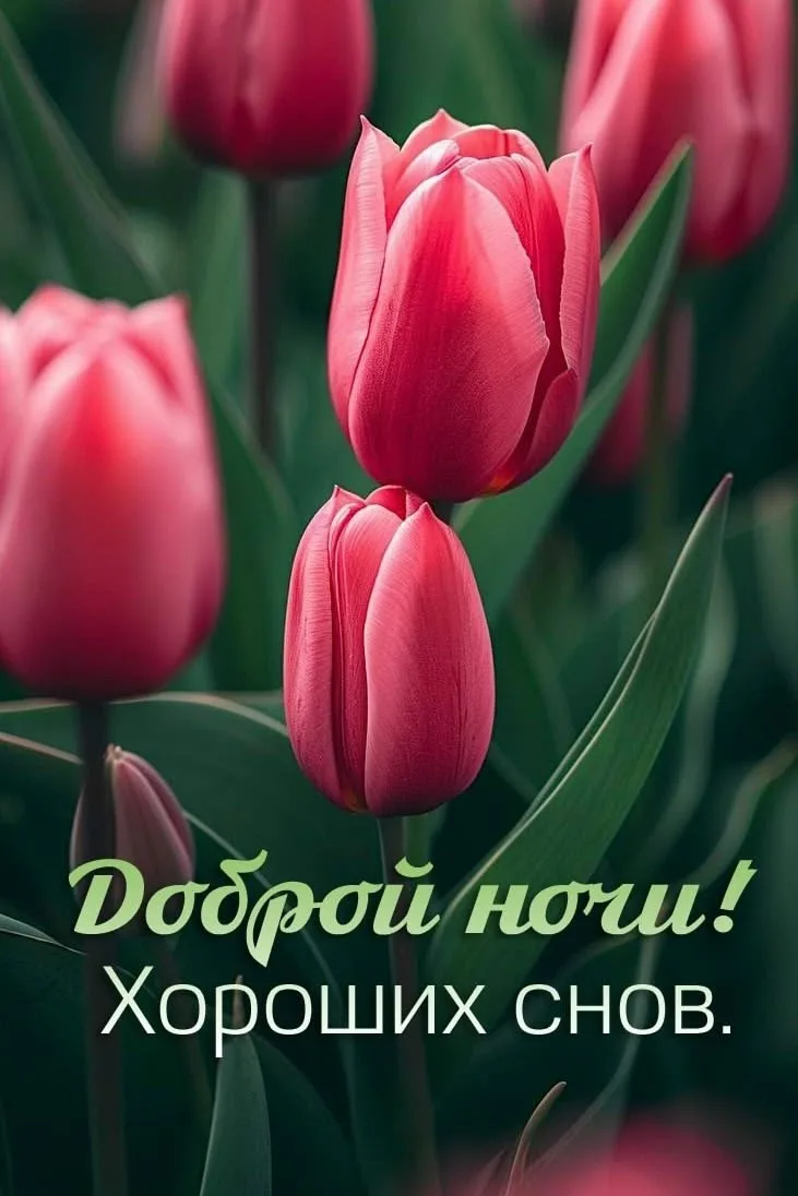 #ночь
Картинки на каждый день