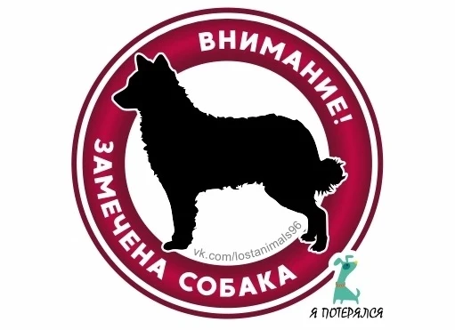 Замечена собака, окрас белый (Свердловская область, Сысертский район)