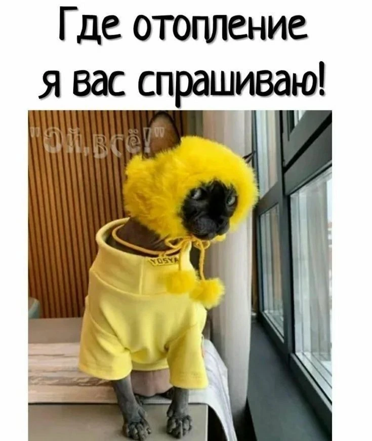 📣Срочное заявление от жильцов квартиры!