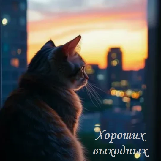 Отличных выходных, друзья!  Пусть эти выходные принесут вам заряд бодрости на всю следующую неделю! 