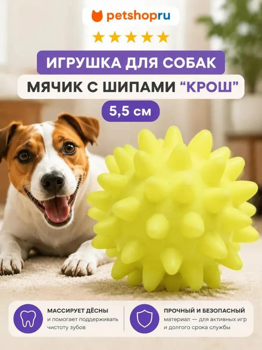 📡 Игрушка для собак мячик с шипами "Крош", 5,5 см · 53 ₽

📝 Отзывов: 234
⭐ Рейтинг: 4.5

Артикул: 