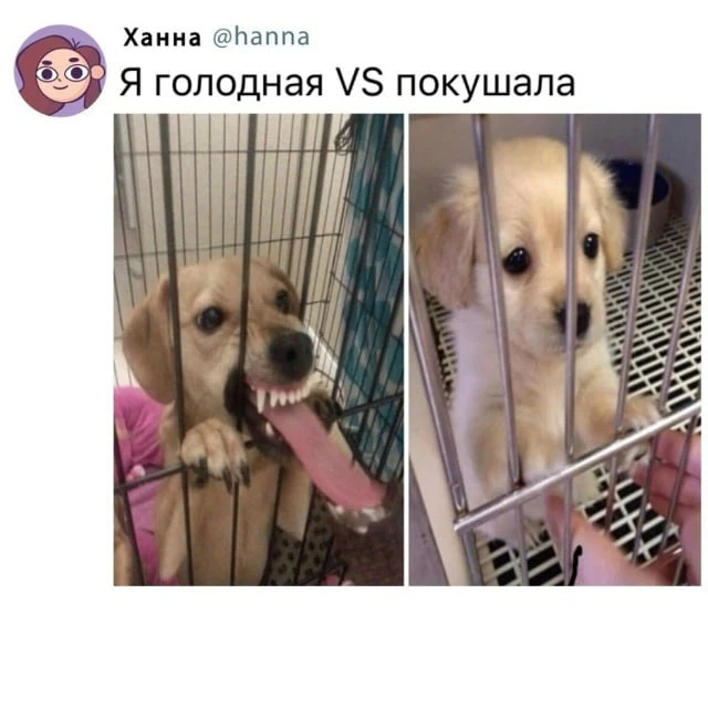 Это я до того как позавтракаю)