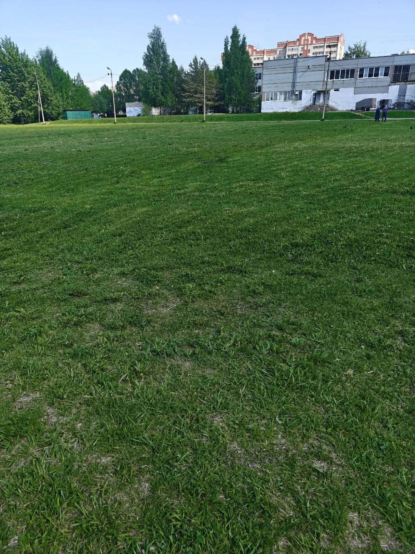 🌱🌱🌱БОЛЬШЕ 2 ГЕКТАРОВ ПРИШКОЛЬНОЙ ТЕРРИТОРИИ ПРИВЕДЕНЫ В ПОРЯДОК  💚 Работники школы приступили к поко