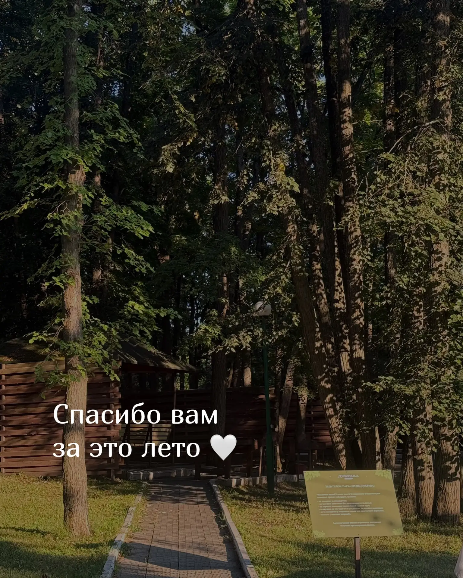 На календаре заканчивается лето ☀️