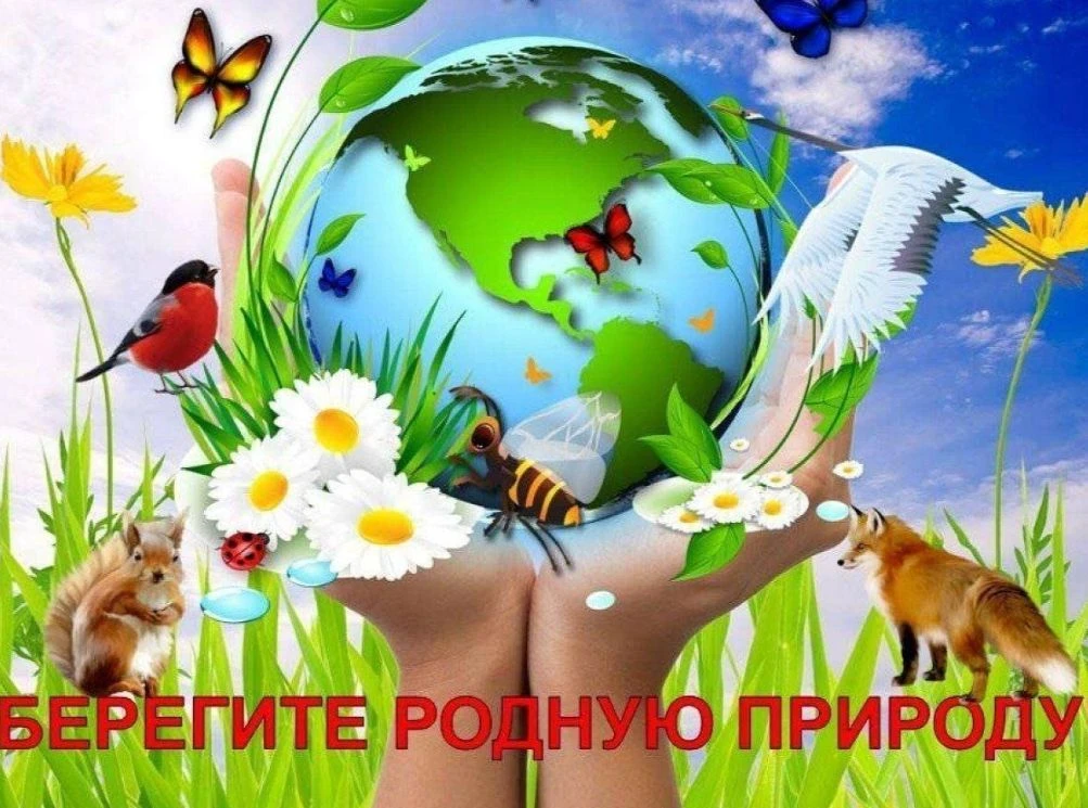 15 июня в нашем лагере прошёл День экологии, посвящённый бережному отношению к природе. День получил