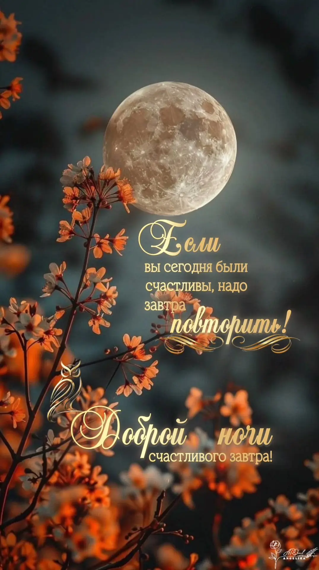 ✨ Открытки и Поздравления