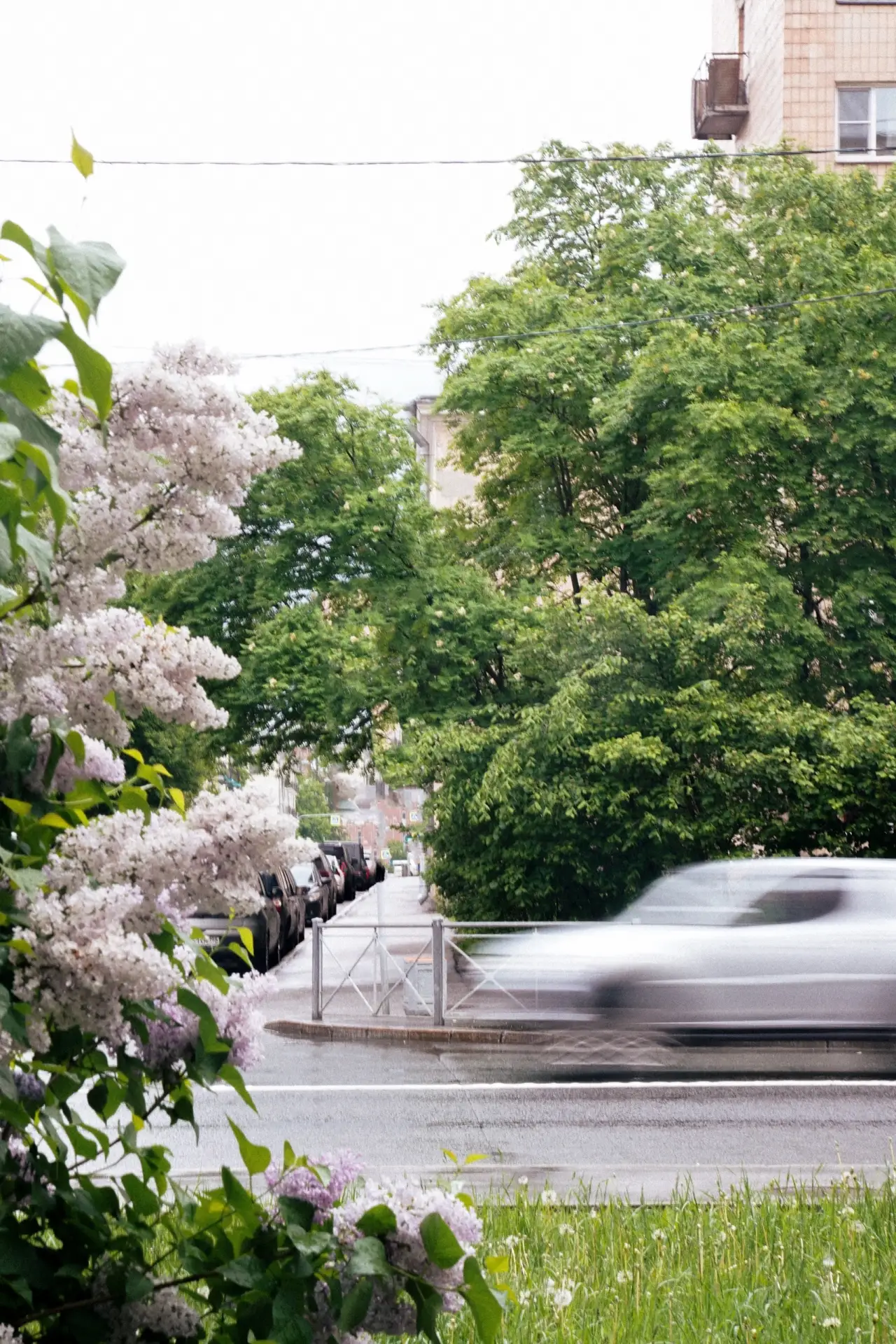 Доброе утро! 
 
Погода сегодня: 
Утро ☁ +10°C, Ю 1м/с. 
День ☁ +16°C, С 0м/с. 
Вечер ☁ +14°C, С 0м/с
