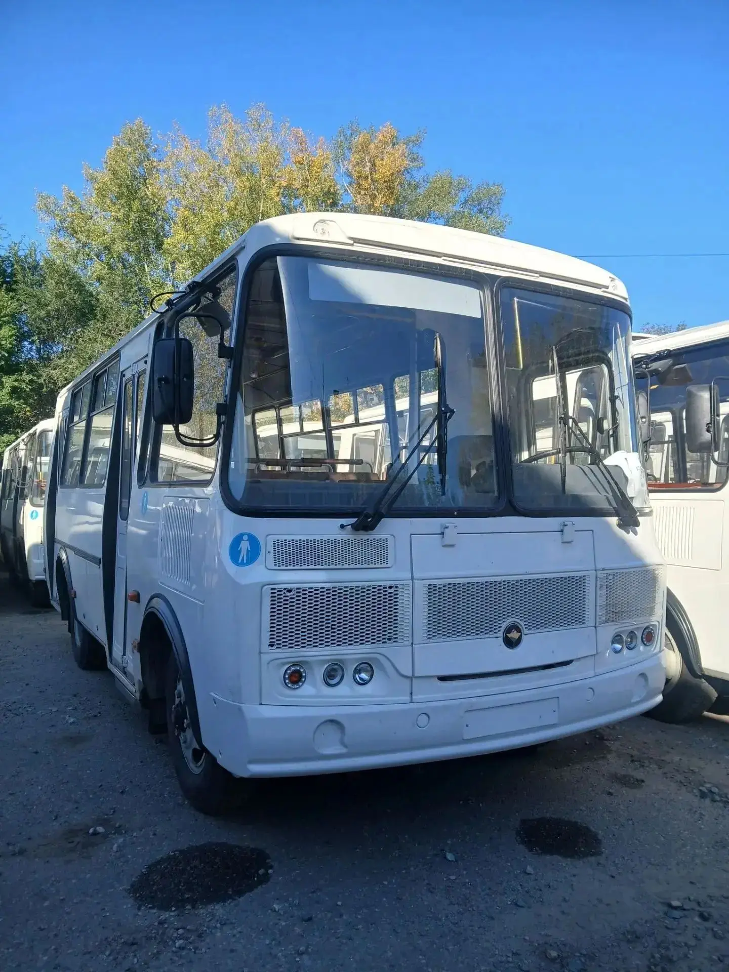 🚌 Новоалтайск получил 11 новых автобусов ПАЗ в рамках нацпроекта «Инфраструктура для ж...