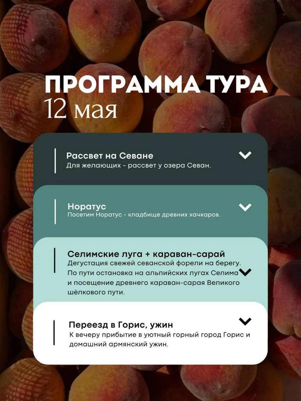 Если вы давно мечтаете о путешествии, но всё откладываете, потому что «не с кем поехать» 😌  У нас ес