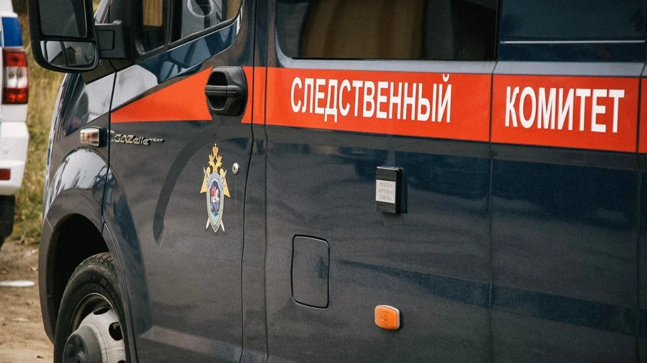О масштабной вербовке россиян через популярный Telegram-бот для знакомств «Дайвинчик/Leo».

Среди за