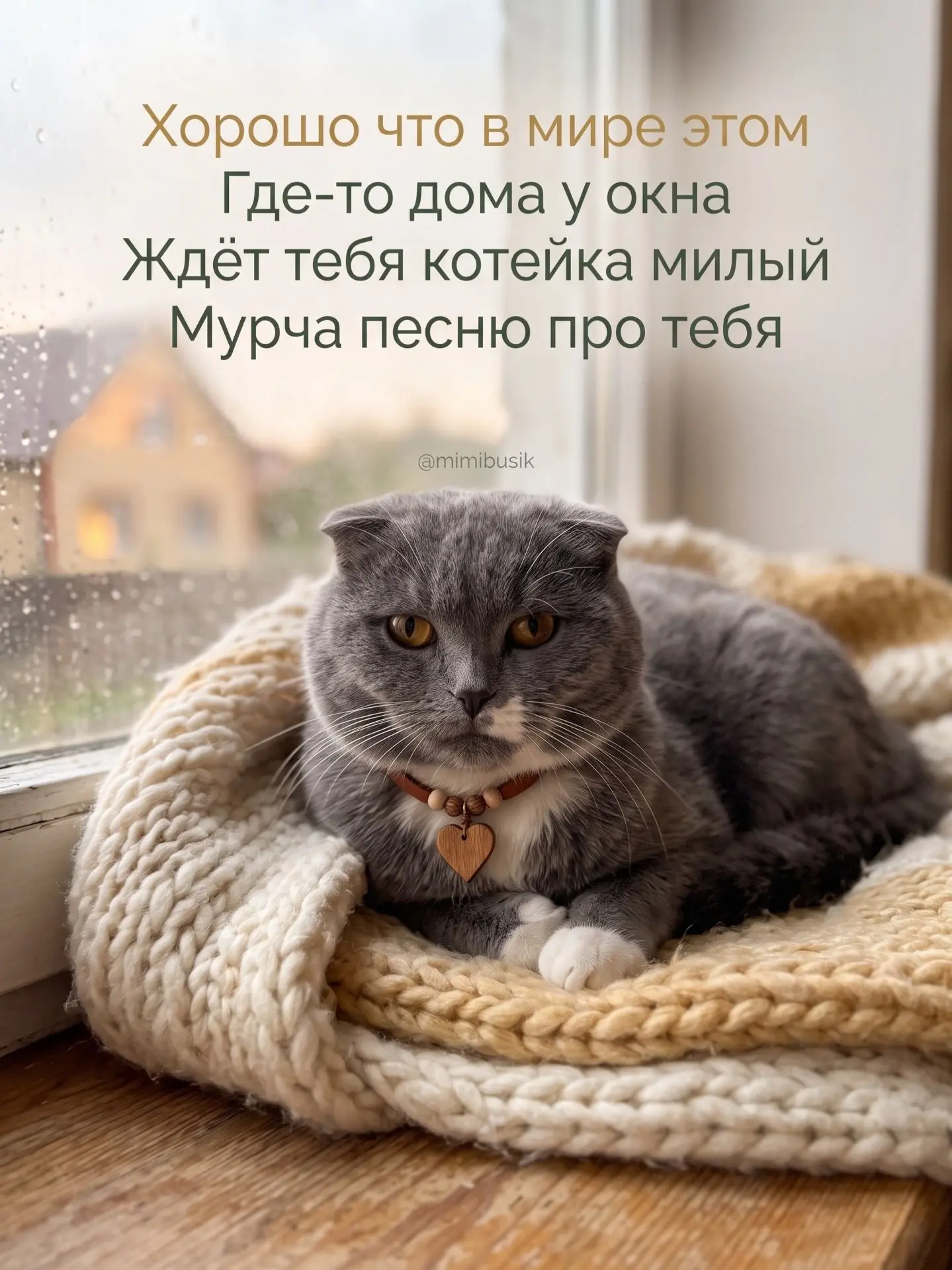 В этом сумасшедшем мире котик у окна — та самая стабильность, которая нам по-настоящему...