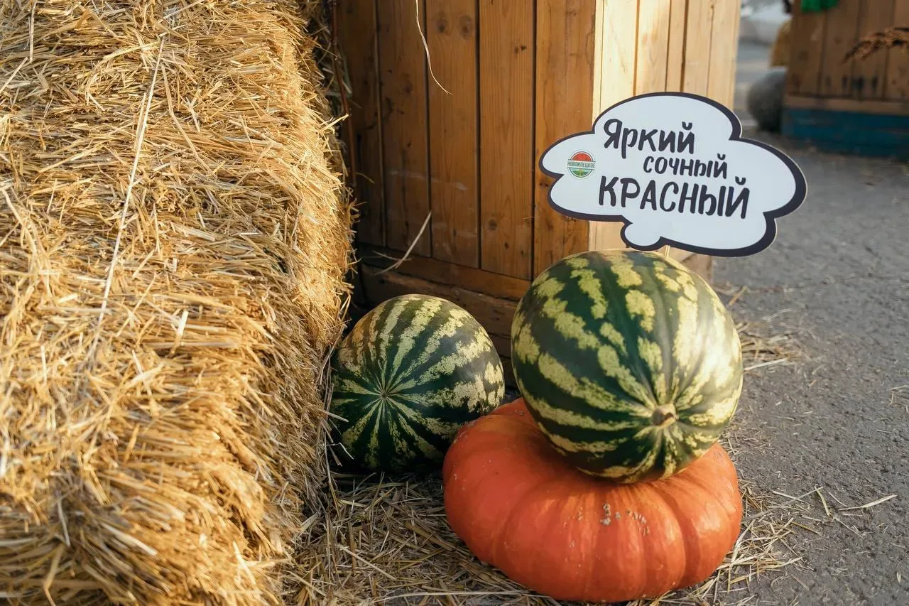 В Оренбурге в шестой раз пройдут гастрономический фестиваль и ярмарка местных производителей  Гастро