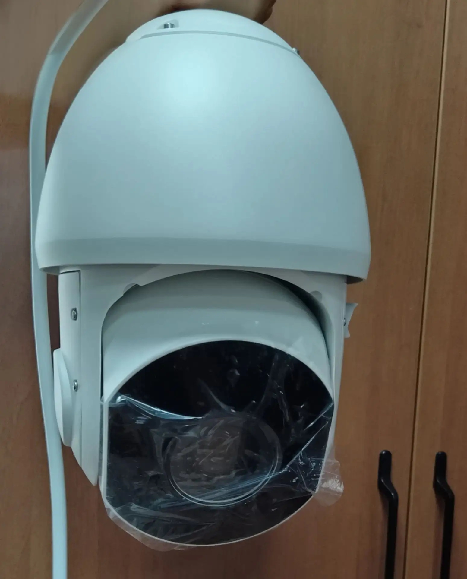 В рамках федерального проекта «Сохранение лесов» национального проекта «Экологическое благополучие» 