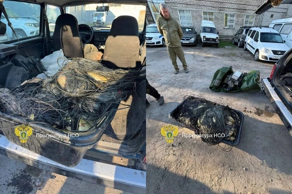 🚨 Пенсионер выловил 376 карасей в Новосибирской области

69-летний мужчина обвиняется в незаконной 