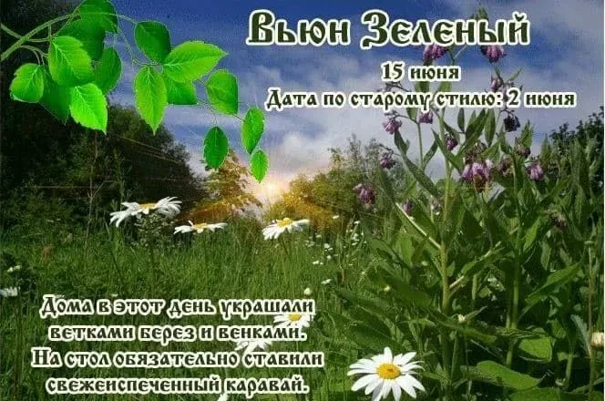 На Руси в этот день отмечали праздник Зеленого Вьюна — или, как его еще называли, Вьюнец. Он относит