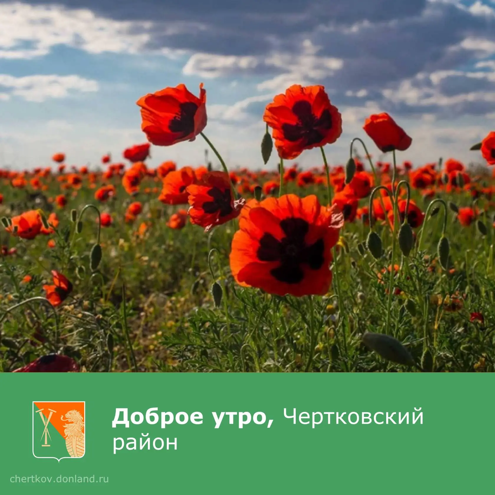 Хорошего, солнечного дня и прекрасного настроения.

___________________________
#Чертковскийрайон 
#