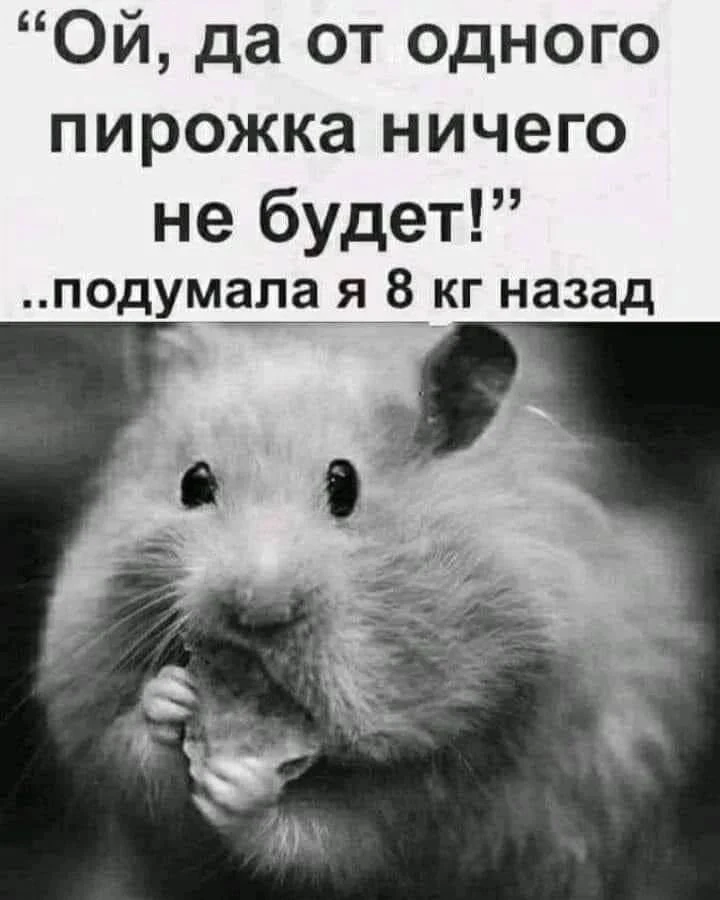 Дурилка картонная