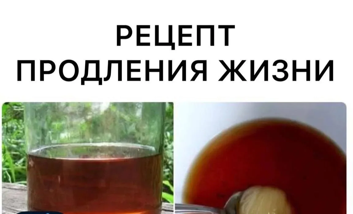 Рецепт продления жизни!⚡️