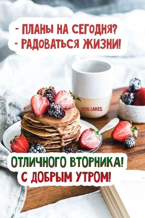 #цитата_дня