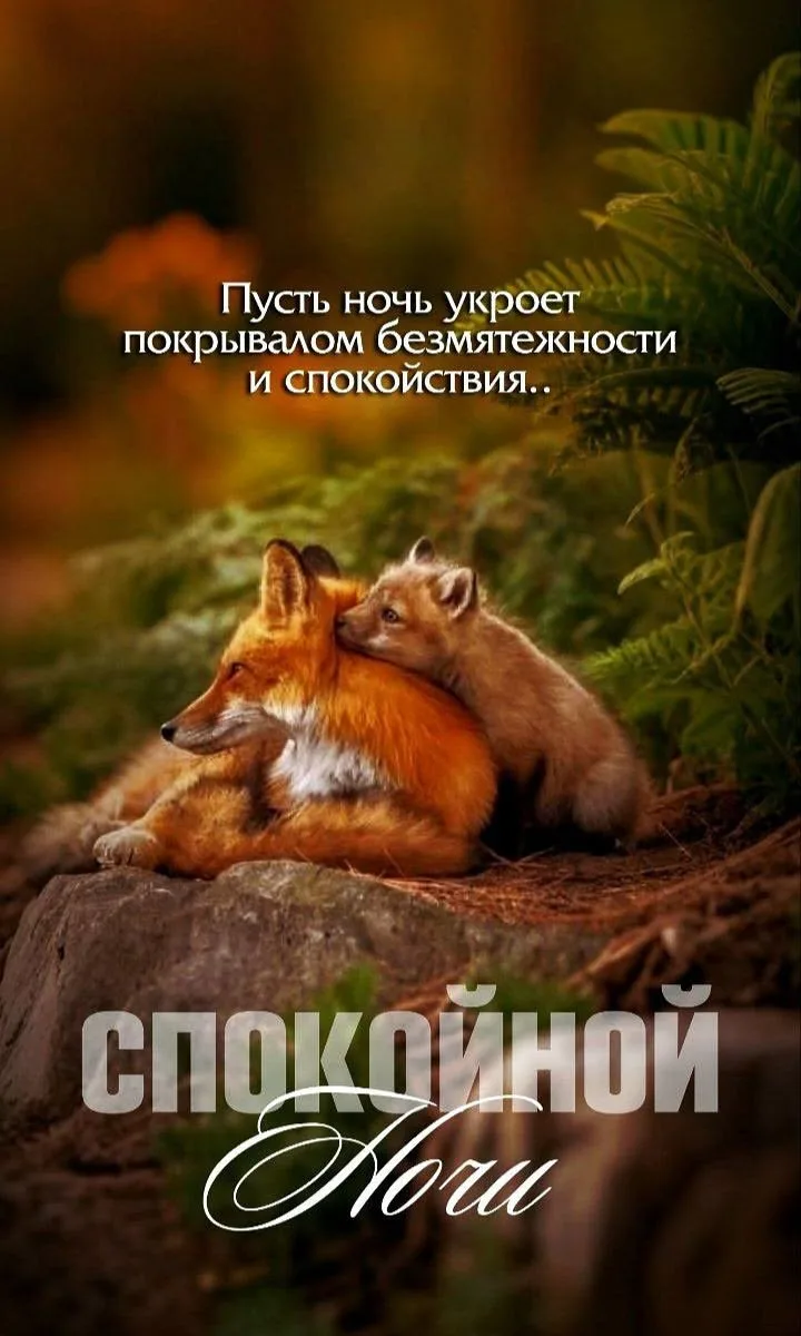Открытки для улыбки 💌  Подписаться