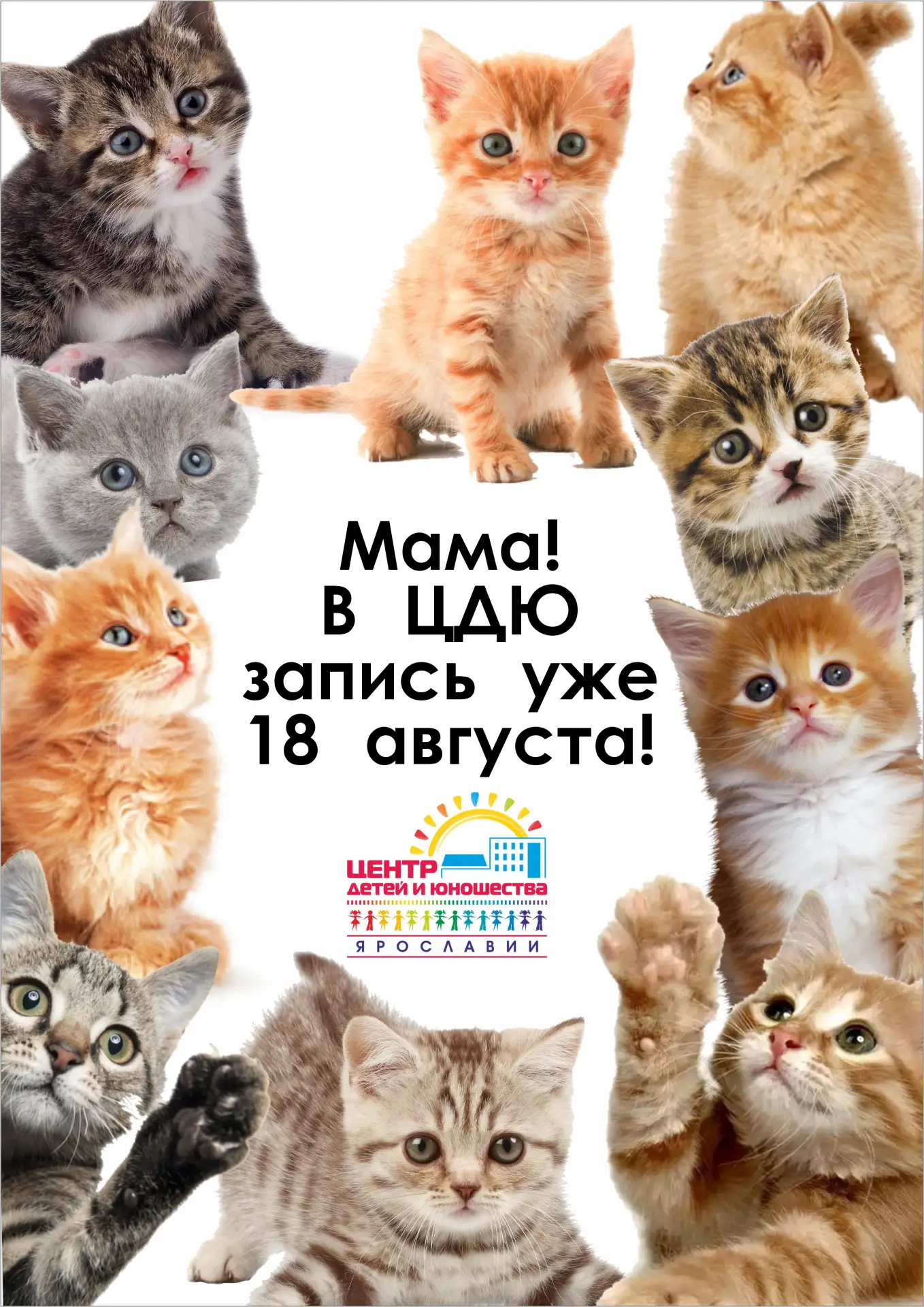 Уважаемые родители‼