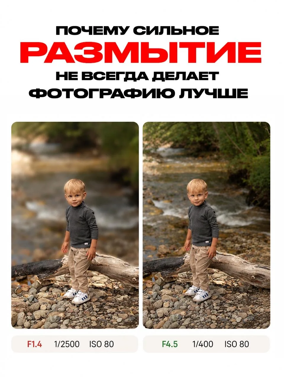 В ПОГОНЕ ЗА БОКЕ ФОТОГРАФЫ ТЕРЯЮТ ГЛАВНОЕ