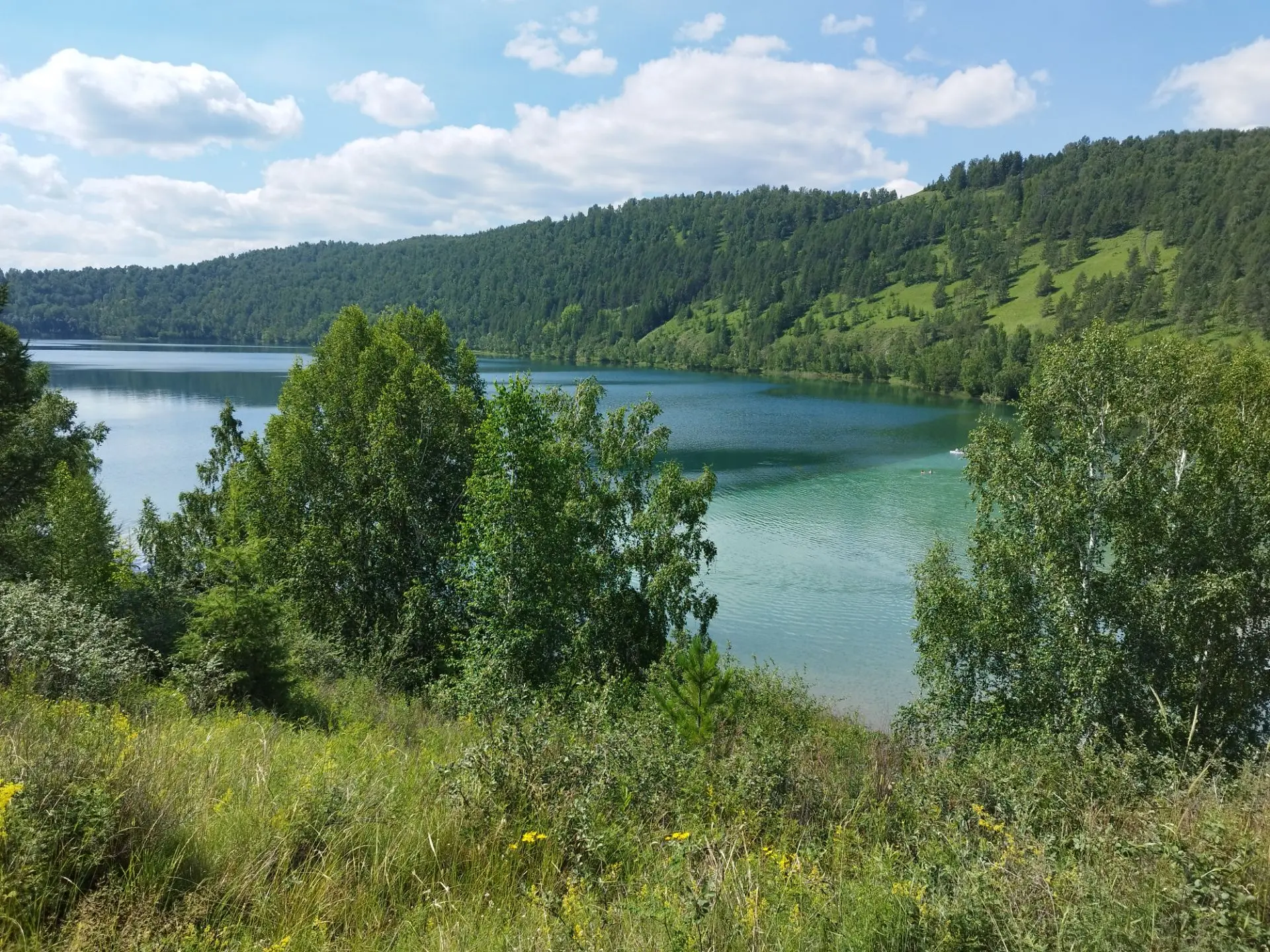 Дайджест: 10 публикаций лета ⛅