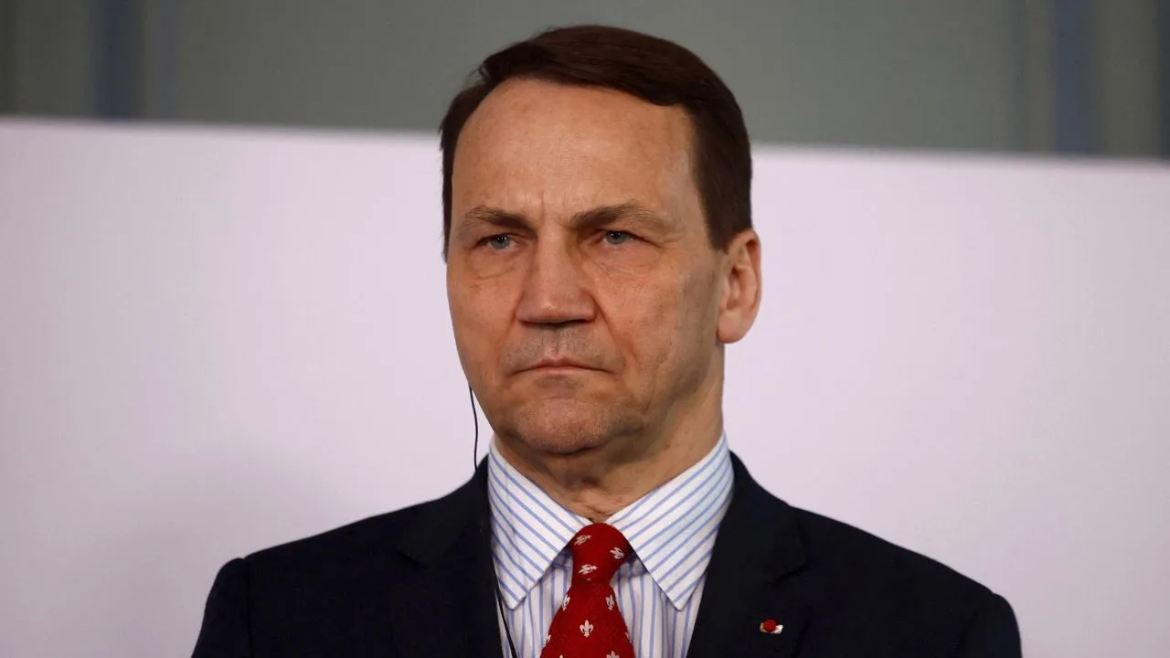 🇷🇺🇵🇱 Глава МИД Польши призвал НАТО активизировать свои учения вблизи Калининградско...